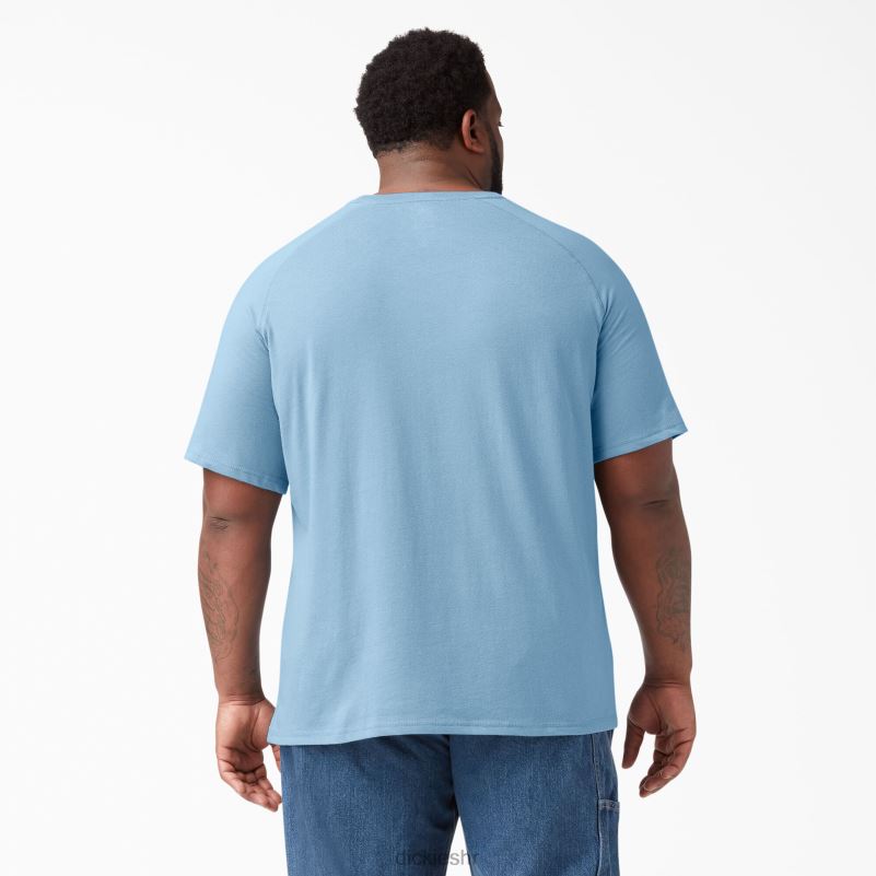 cool majica kratkih rukava muškarci Dickies prašnjavo plava (dl) 6BPL6542 odjeća