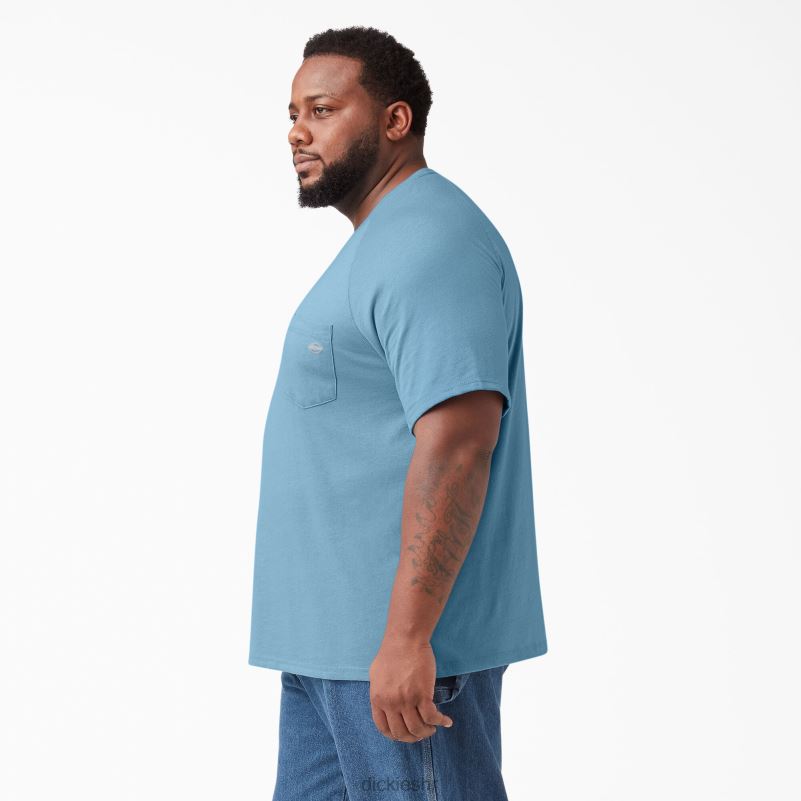 cool majica kratkih rukava muškarci Dickies prašnjavo plava (dl) 6BPL6542 odjeća