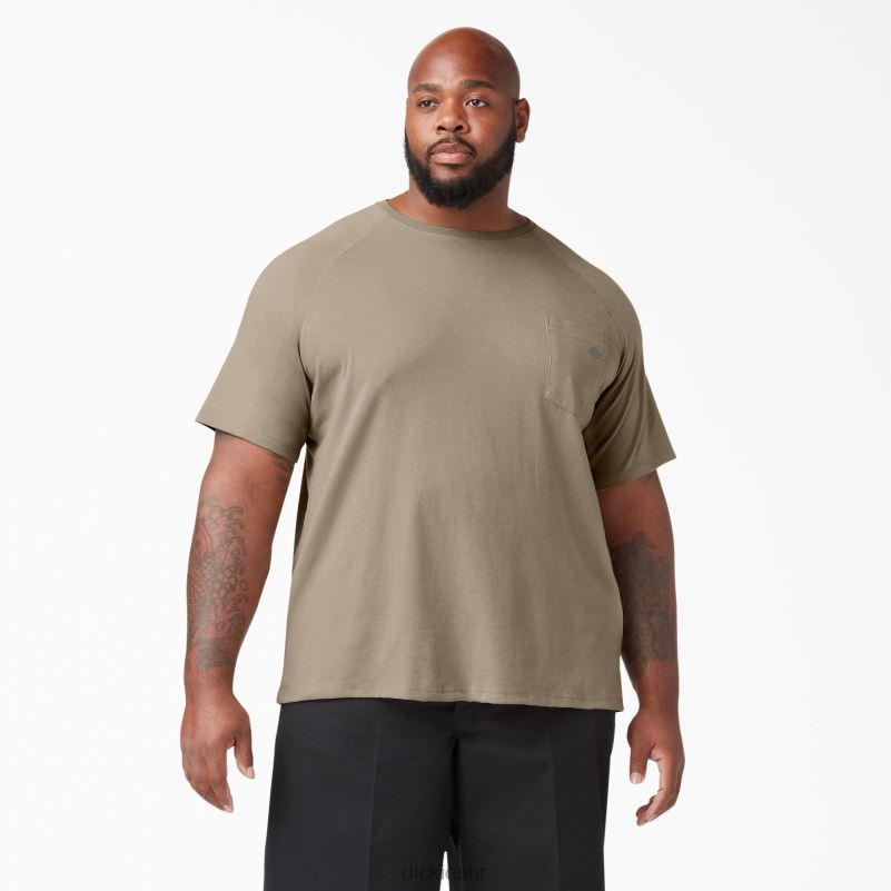 cool majica kratkih rukava muškarci Dickies pustinjski pijesak (ds) 6BPL6544 odjeća