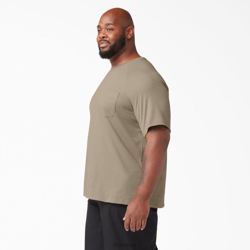 cool majica kratkih rukava muškarci Dickies pustinjski pijesak (ds) 6BPL6544 odjeća