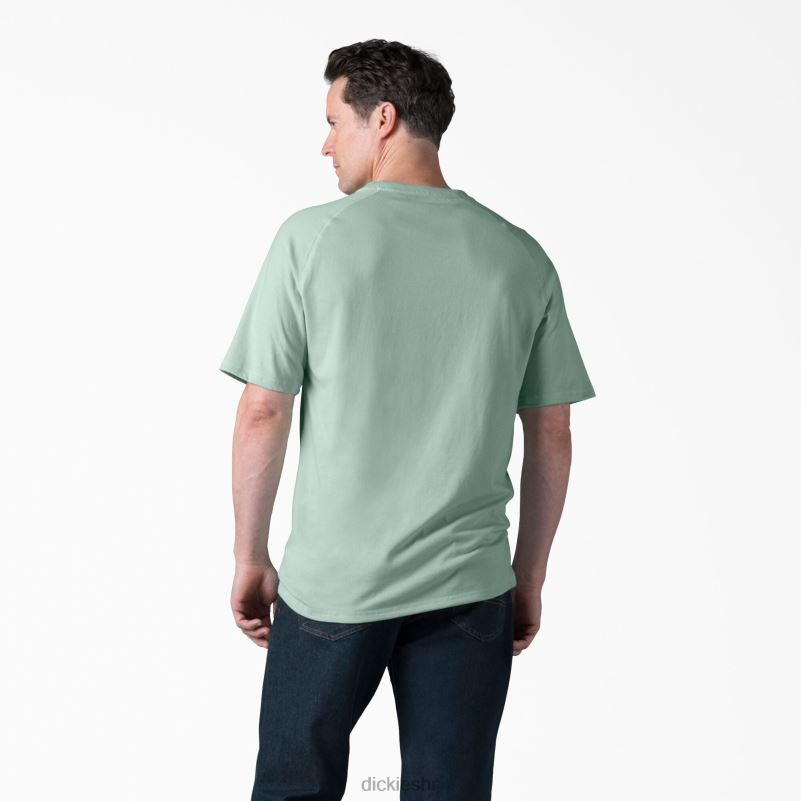 cool majica kratkih rukava muškarci Dickies sprej za surfanje (sp1) 6BPL6553 odjeća