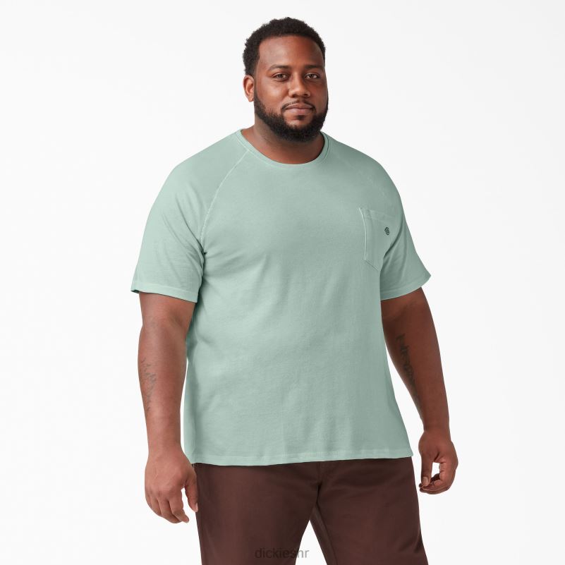 cool majica kratkih rukava muškarci Dickies sprej za surfanje (sp1) 6BPL6553 odjeća