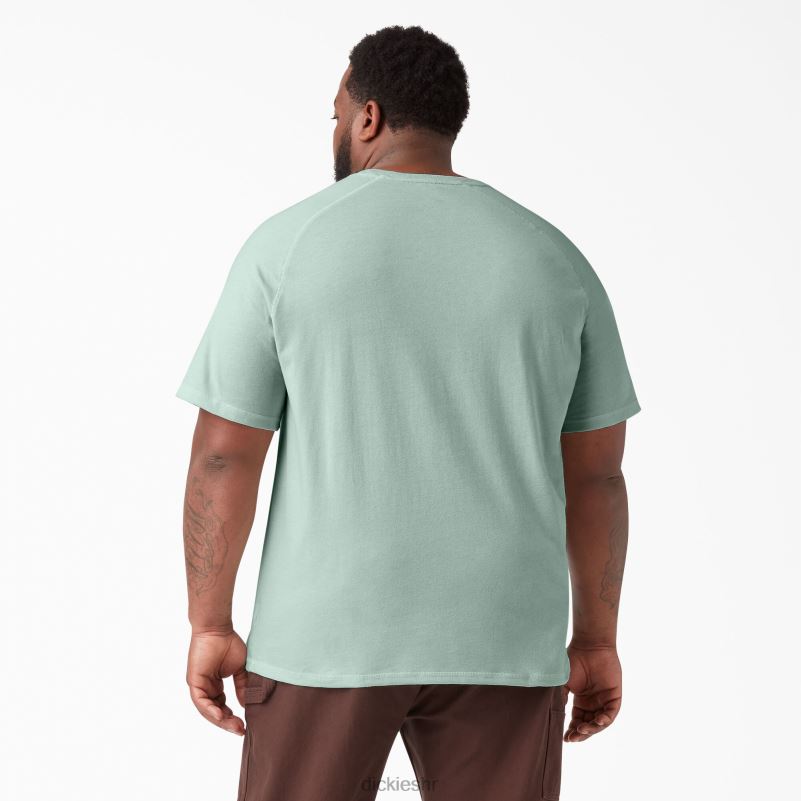 cool majica kratkih rukava muškarci Dickies sprej za surfanje (sp1) 6BPL6553 odjeća