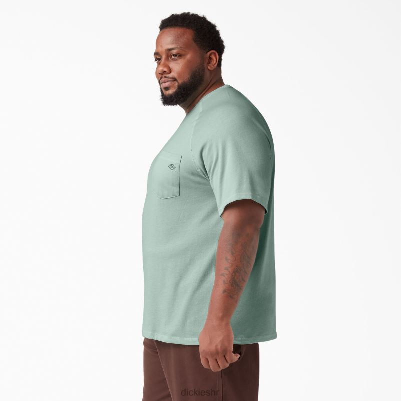 cool majica kratkih rukava muškarci Dickies sprej za surfanje (sp1) 6BPL6553 odjeća