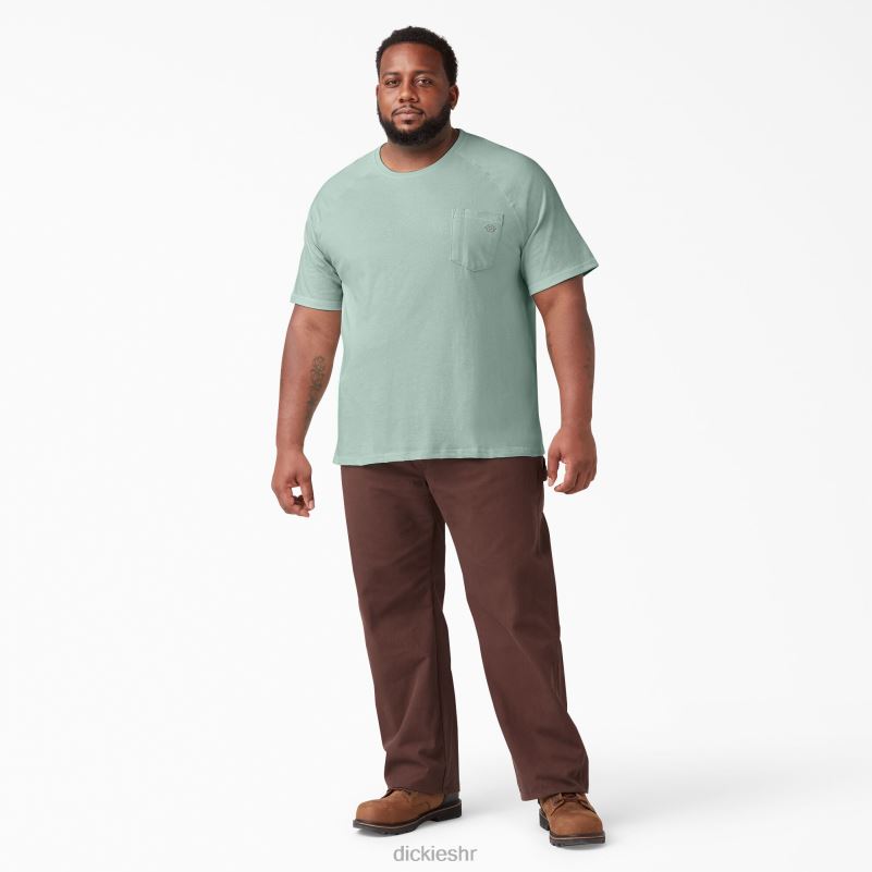 cool majica kratkih rukava muškarci Dickies sprej za surfanje (sp1) 6BPL6553 odjeća