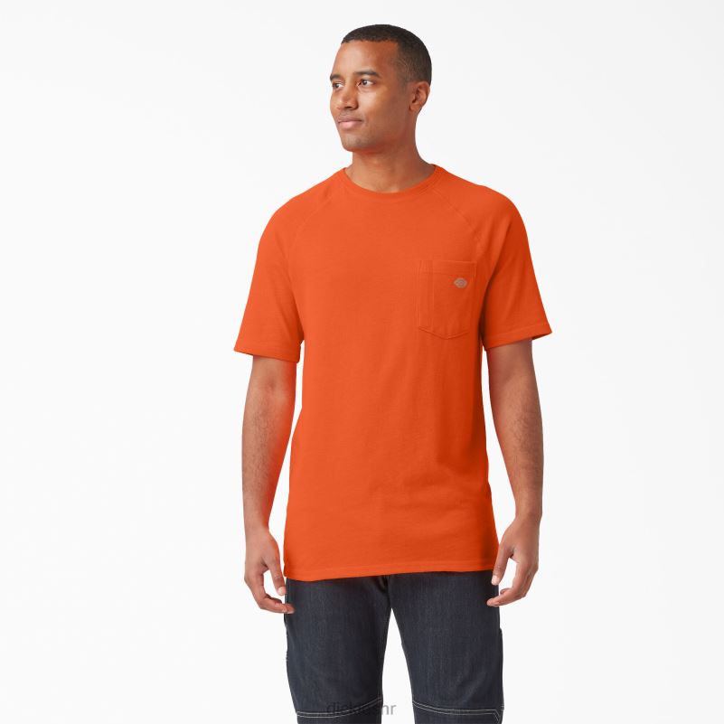 cool majica kratkih rukava muškarci Dickies svijetlo narančasta (bod) 6BPL6537 odjeća