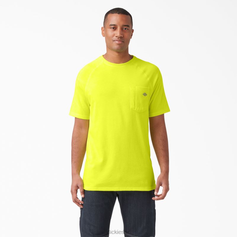 cool majica kratkih rukava muškarci Dickies svijetlo žuta (bwd) 6BPL6538 odjeća