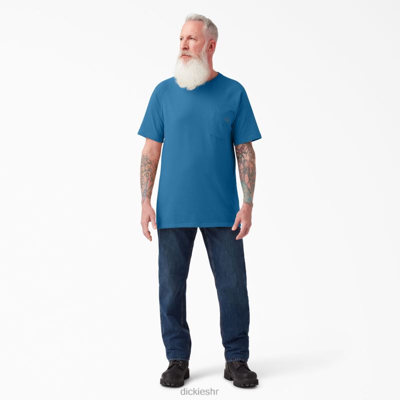 cool majica kratkih rukava muškarci Dickies vallarta plava (v2b) 6BPL6554 odjeća