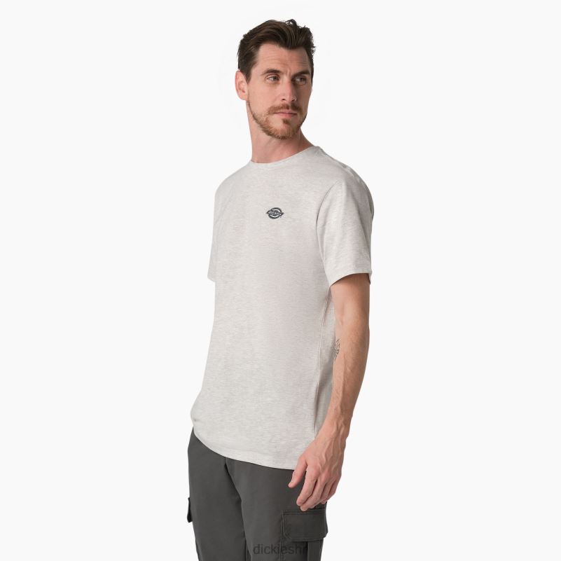 grafička majica performansi hlađenja muškarci Dickies pepeljasto siva (ag) 6BPL6899 odjeća