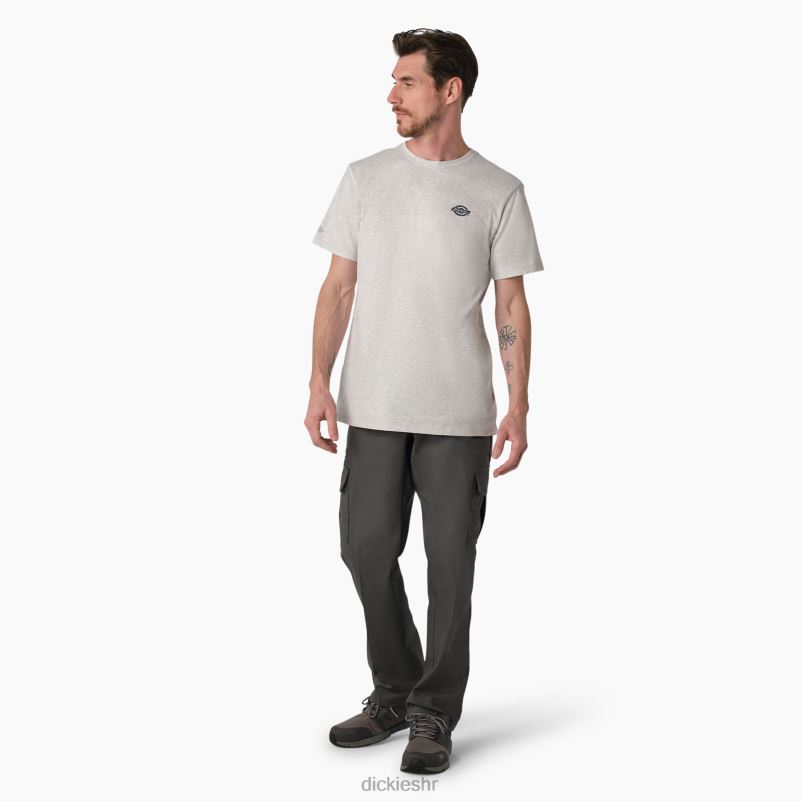 grafička majica performansi hlađenja muškarci Dickies pepeljasto siva (ag) 6BPL6899 odjeća