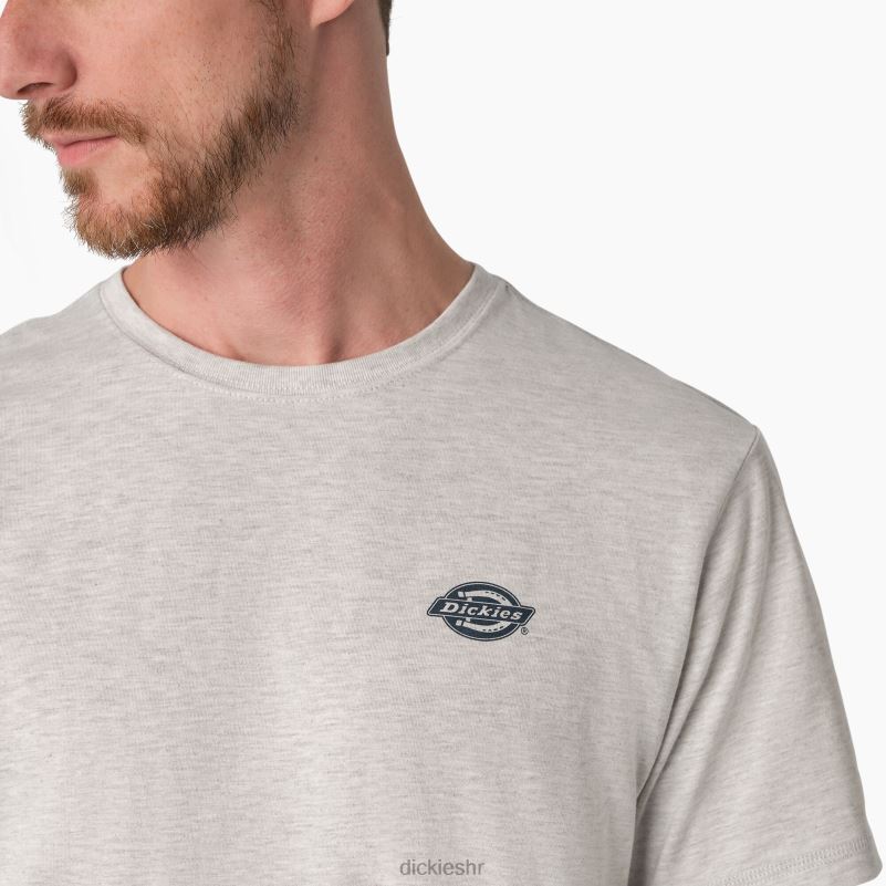 grafička majica performansi hlađenja muškarci Dickies pepeljasto siva (ag) 6BPL6899 odjeća