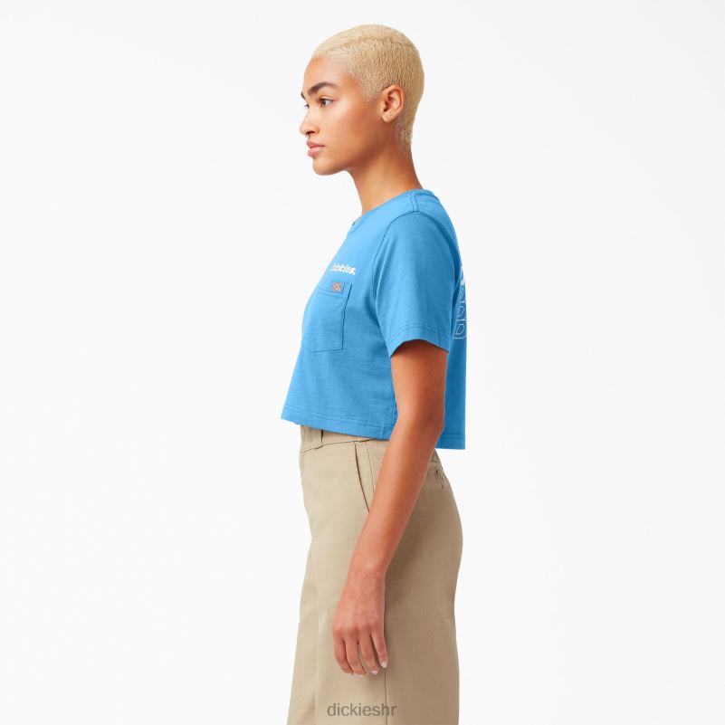 grafički skraćena majica žene Dickies svijetli kobalt (b2t) 6BPL62148 odjeća