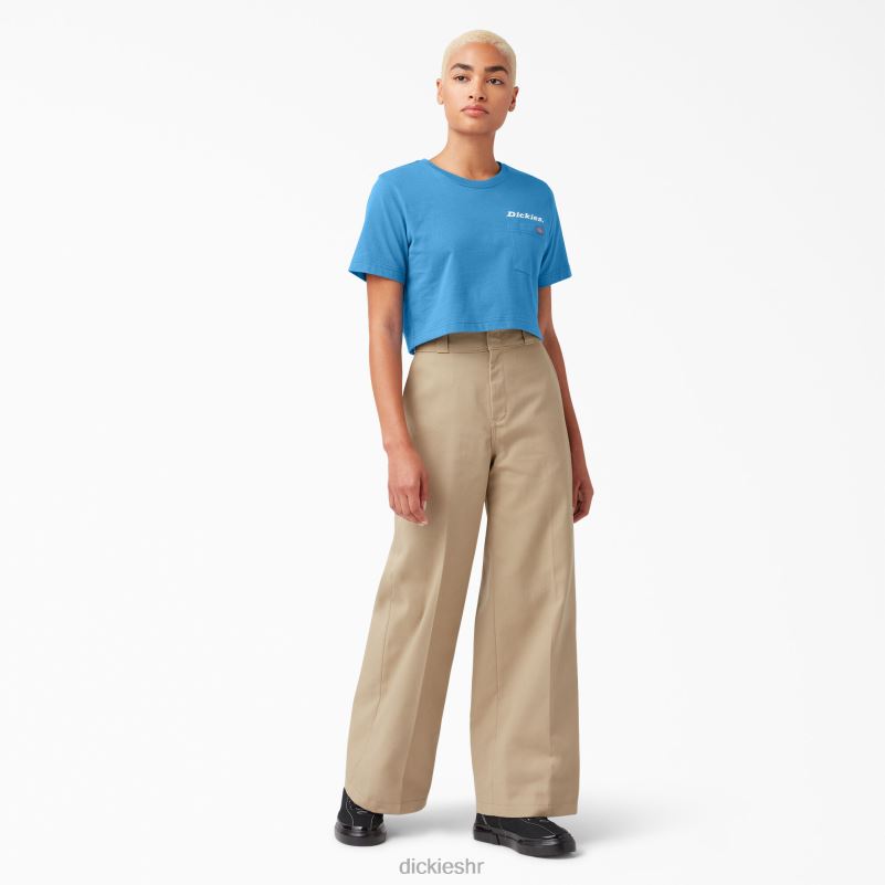 grafički skraćena majica žene Dickies svijetli kobalt (b2t) 6BPL62148 odjeća