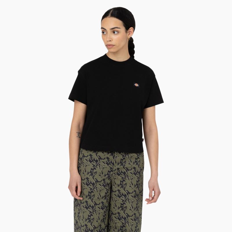 hrastova skraćena majica žene Dickies crna (kbk) 6BPL62043 odjeća