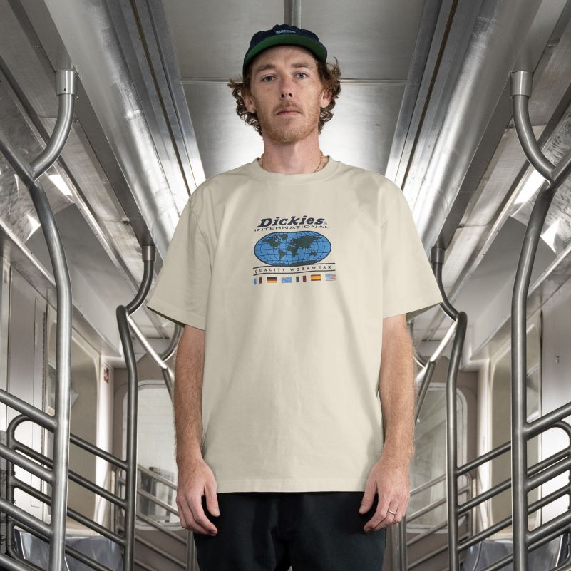 jake hayes grafička majica muškarci Dickies prirodna bež (nt) 6BPL6649 odjeća
