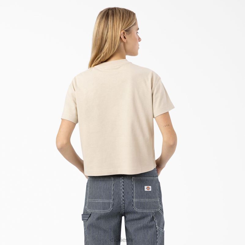 loretto skraćena majica žene Dickies tan (ftn) 6BPL62177 odjeća