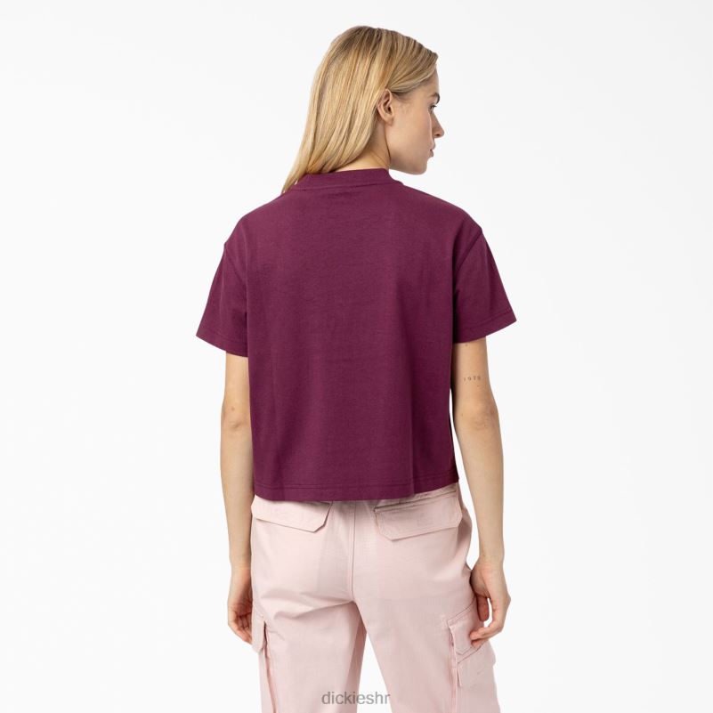 loretto skraćena majica žene Dickies vino od grožđa (gw9) 6BPL62178 odjeća