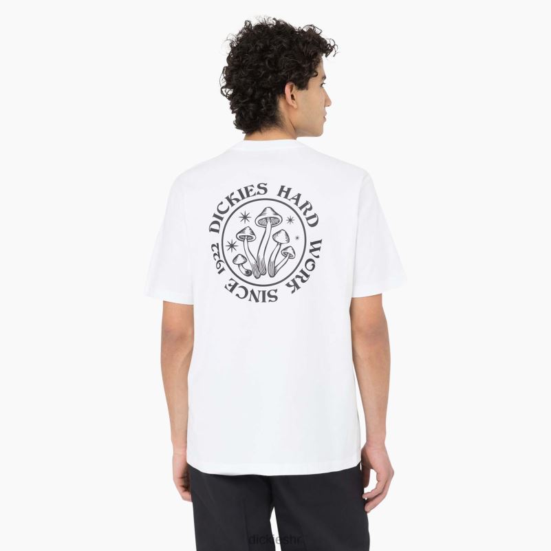 majica kratkih rukava bayside gardens muškarci Dickies bijelo (wh) 6BPL6586 odjeća