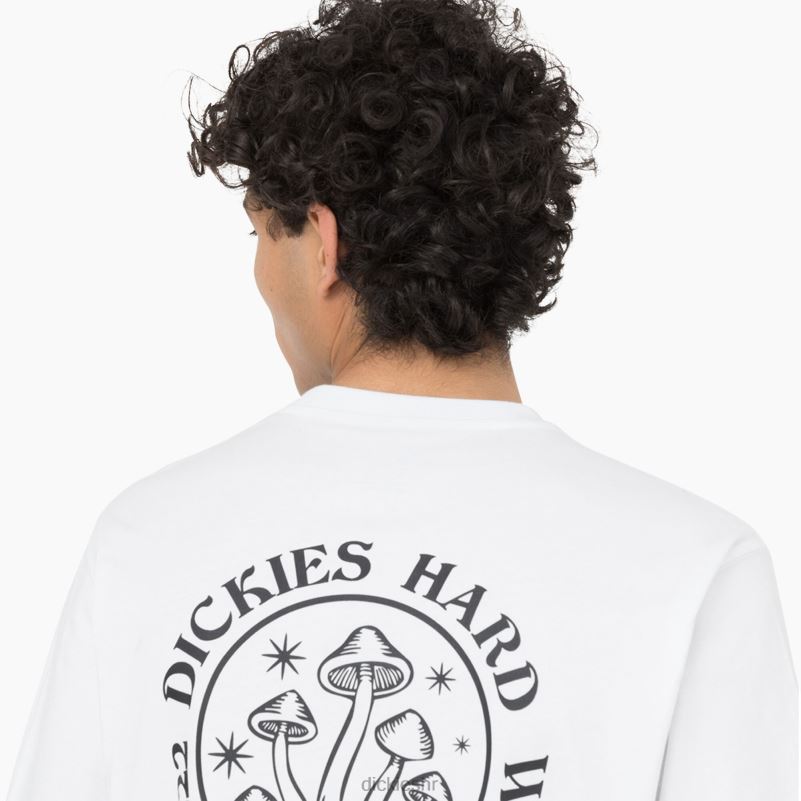 majica kratkih rukava bayside gardens muškarci Dickies bijelo (wh) 6BPL6586 odjeća
