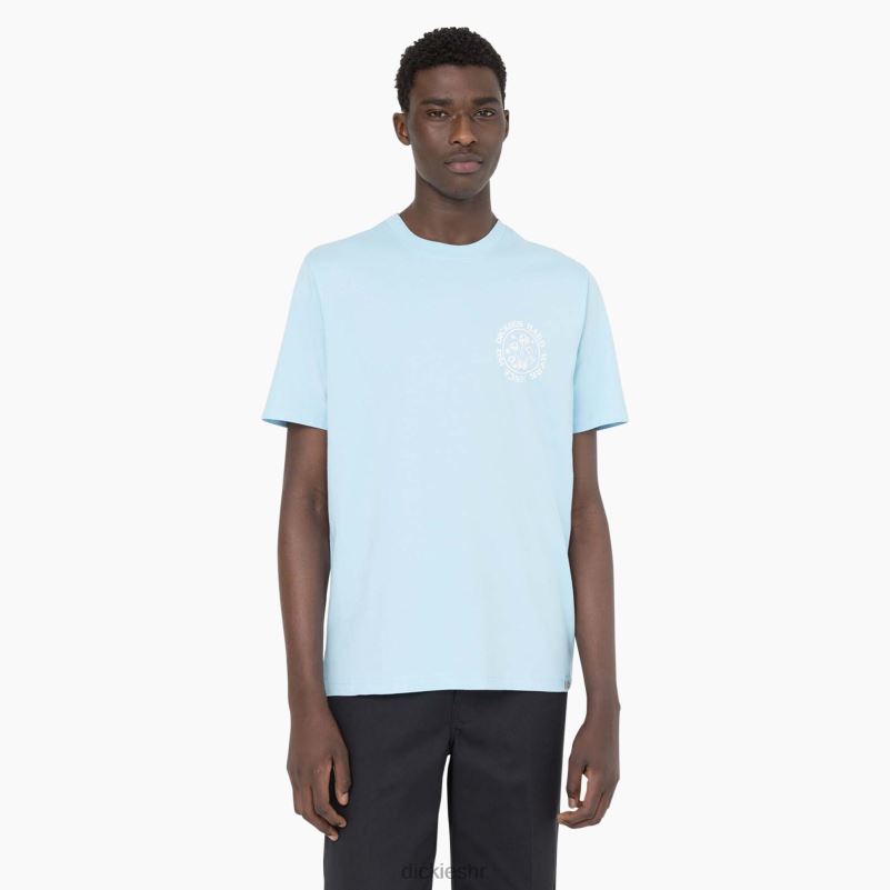 majica kratkih rukava bayside gardens muškarci Dickies nebesko plava (su9) 6BPL6585 odjeća