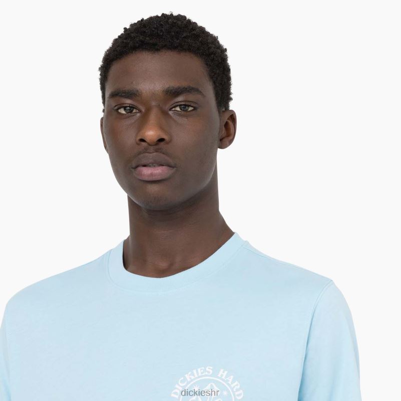 majica kratkih rukava bayside gardens muškarci Dickies nebesko plava (su9) 6BPL6585 odjeća