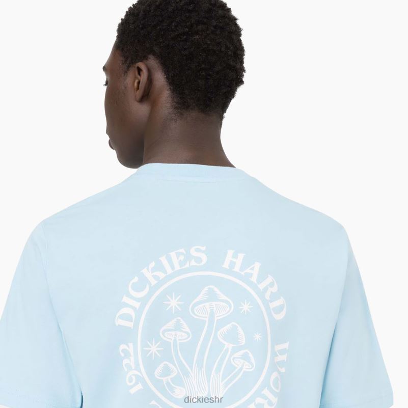 majica kratkih rukava bayside gardens muškarci Dickies nebesko plava (su9) 6BPL6585 odjeća