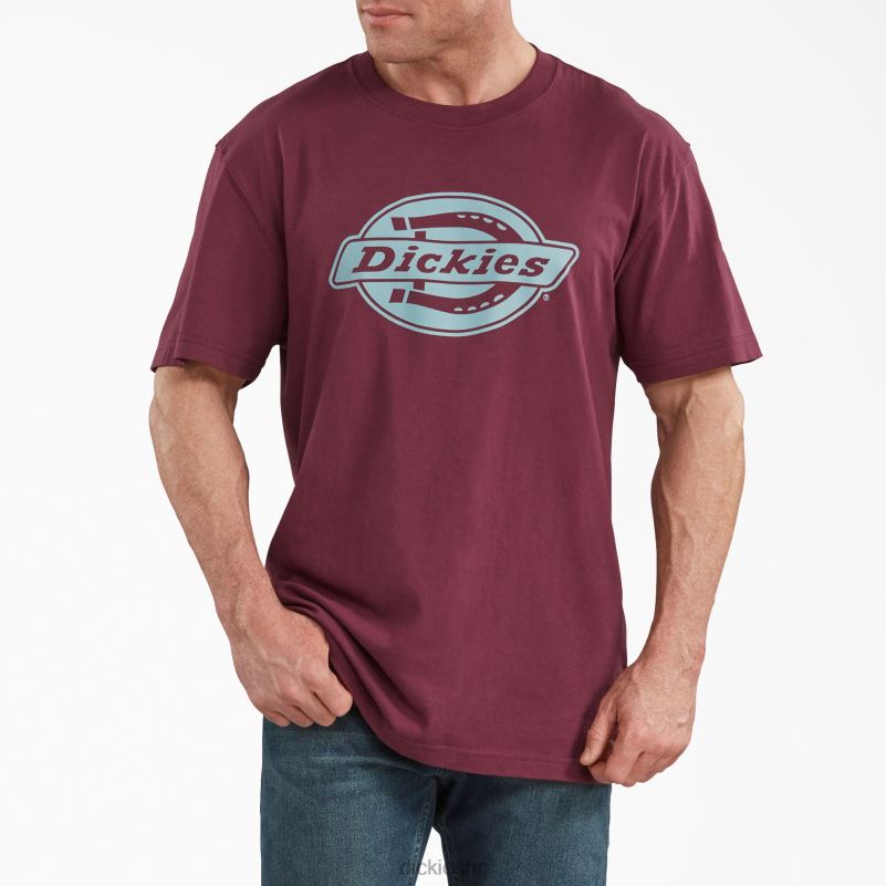 majica kratkih rukava opuštenog kroja s grafikama muškarci Dickies bordo (od) 6BPL6842 odjeća