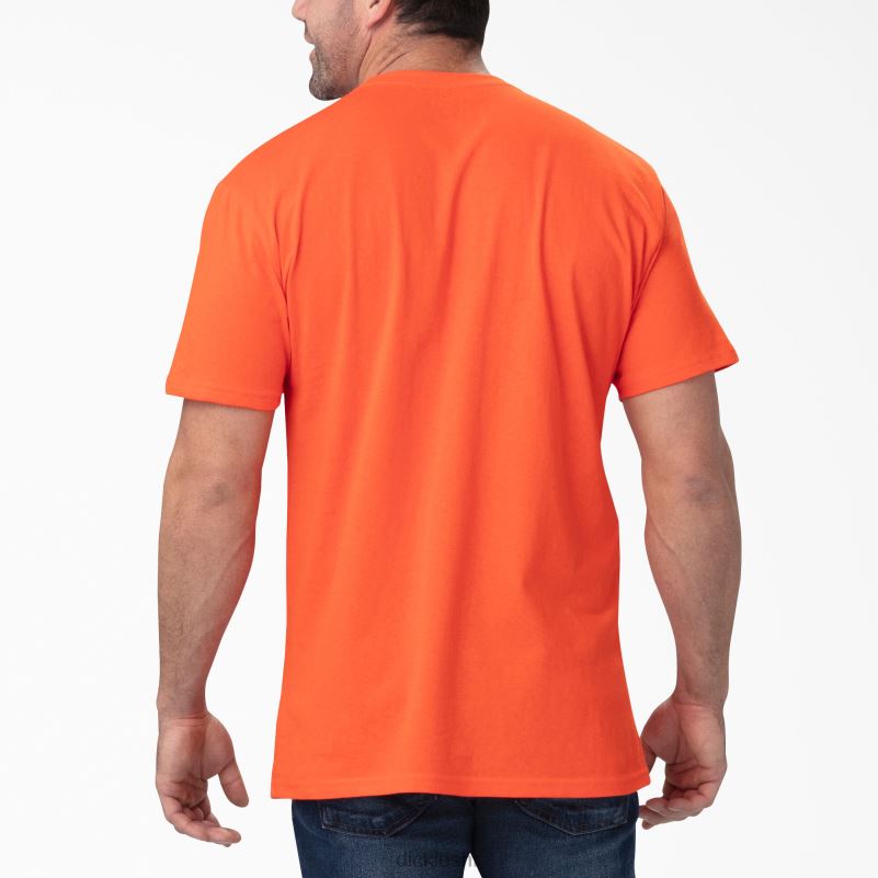 majica kratkih rukava opuštenog kroja s grafikama muškarci Dickies narančasta cigla (ek) 6BPL6843 odjeća