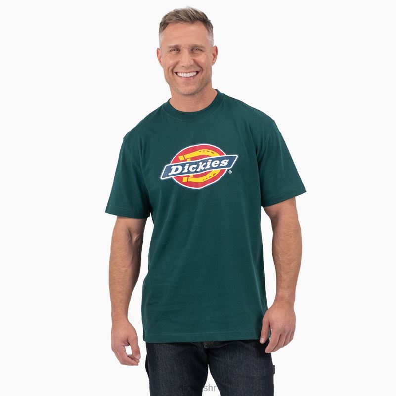 majica kratkih rukava s trobojnim logotipom muškarci Dickies šumsko zelena (ft) 6BPL6710 odjeća