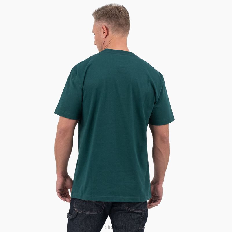 majica kratkih rukava s trobojnim logotipom muškarci Dickies šumsko zelena (ft) 6BPL6710 odjeća