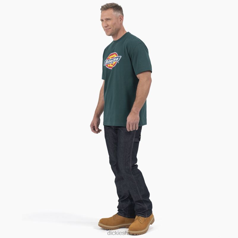 majica kratkih rukava s trobojnim logotipom muškarci Dickies šumsko zelena (ft) 6BPL6710 odjeća