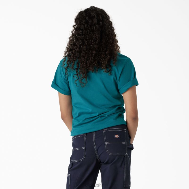 majica s grafičkim bendom žene Dickies duboko jezero (dl2) 6BPL62211 odjeća