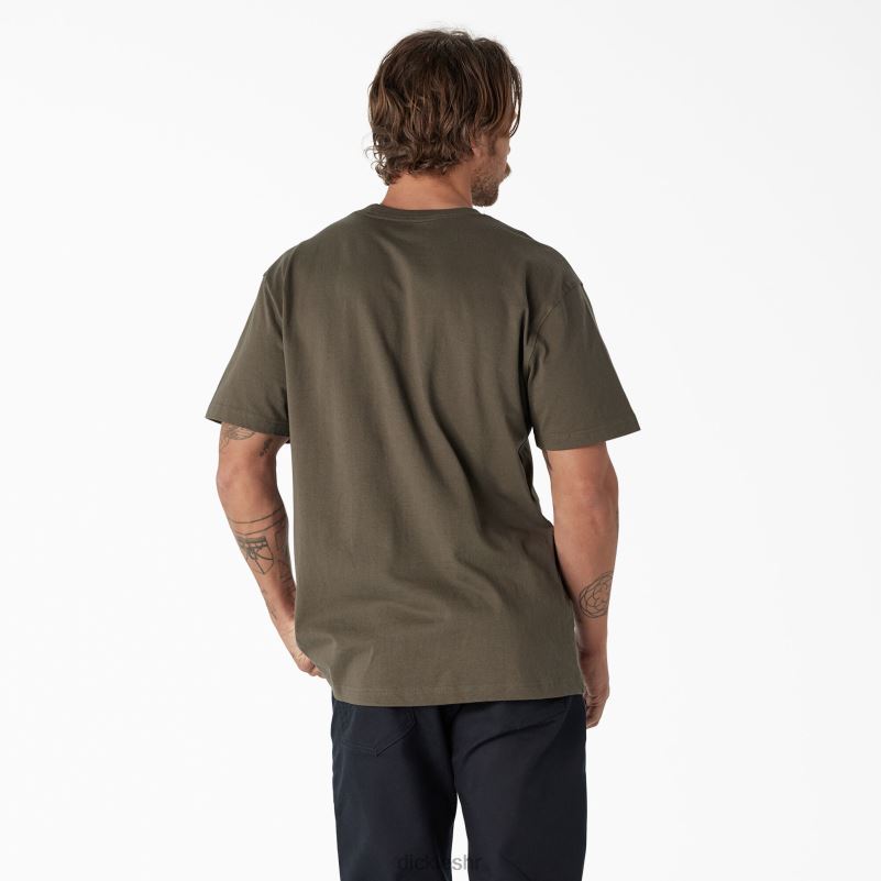 majica s logom teške kategorije kratkih rukava muškarci Dickies zelena mahovina (ms) 6BPL6740 odjeća