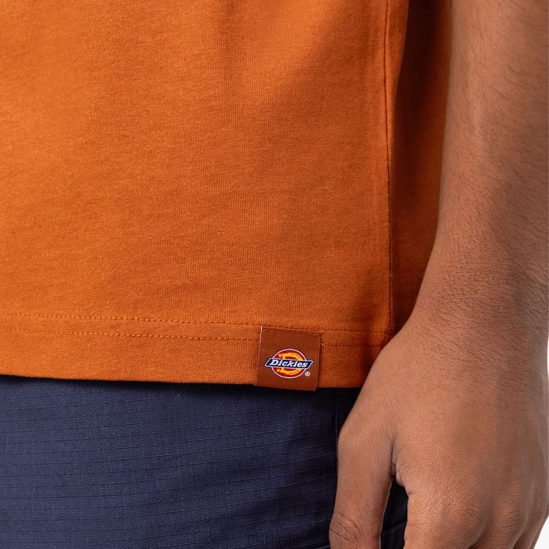marbury majica kratkih rukava muškarci Dickies medenjak smeđi (tj.) 6BPL6801 odjeća