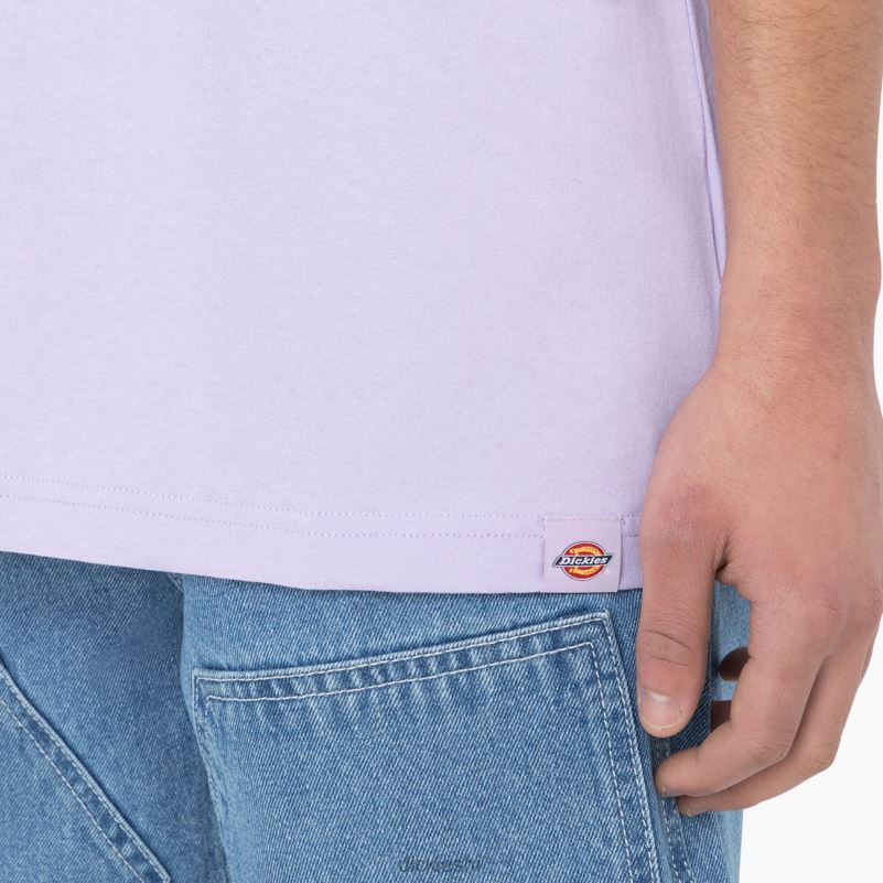 oatfield majica kratkih rukava muškarci Dickies ljubičasta ruža (ur2) 6BPL6756 odjeća