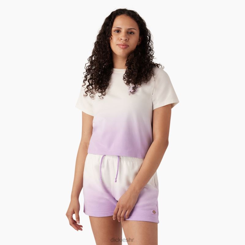 ombre skraćena majica žene Dickies oblak/ljubičasta ružičasta boja (cud) 6BPL62182 odjeća