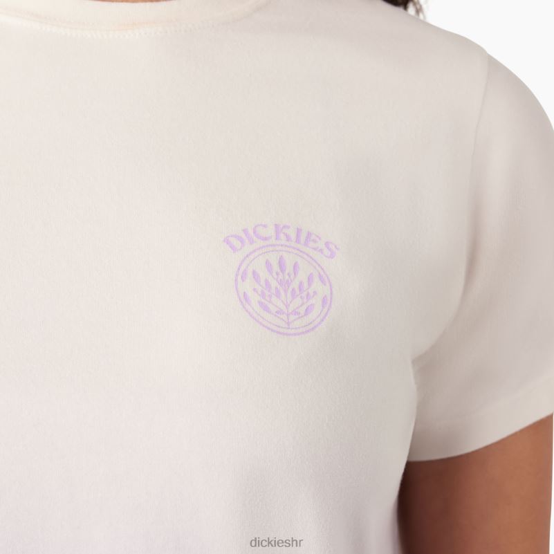 ombre skraćena majica žene Dickies oblak/ljubičasta ružičasta boja (cud) 6BPL62182 odjeća