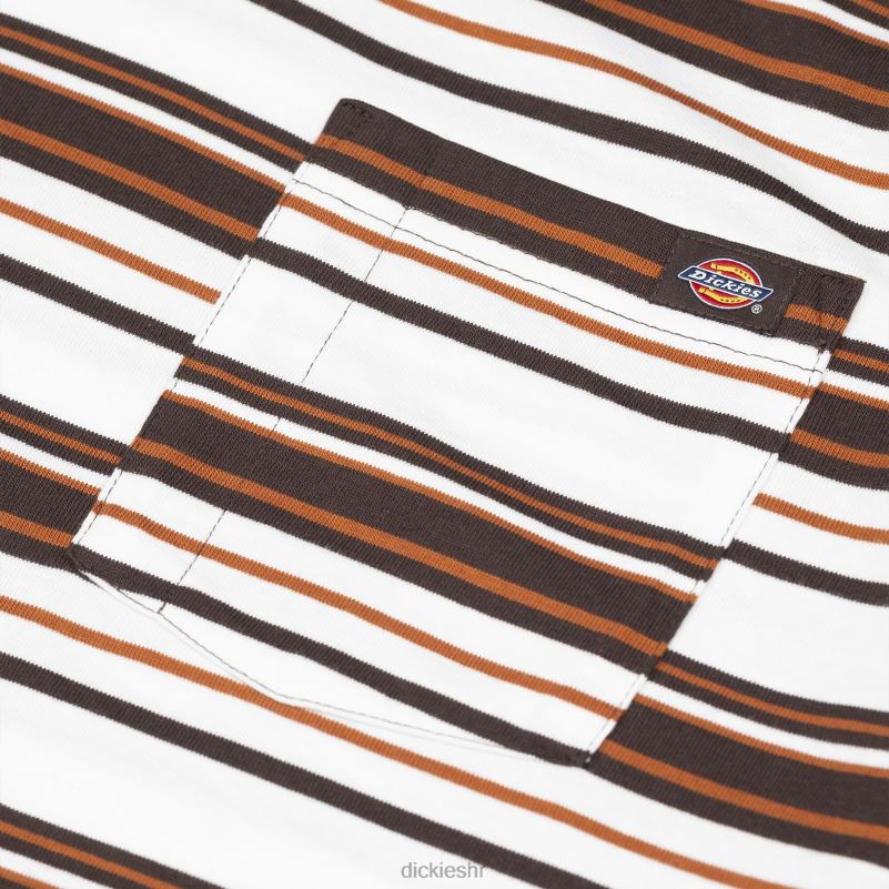 prugasta majica s džepovima opuštenog kroja muškarci Dickies čokoladno smeđa pruga (csr) 6BPL6744 odjeća