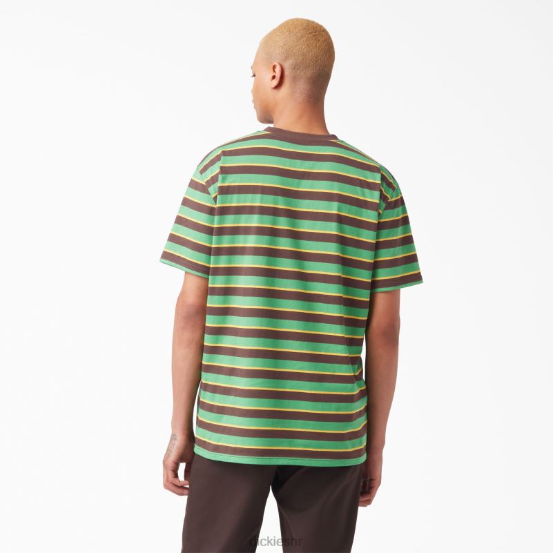 prugasta majica vincent alvarez muškarci Dickies lisnato zelena pruga (gsl) 6BPL6955 odjeća
