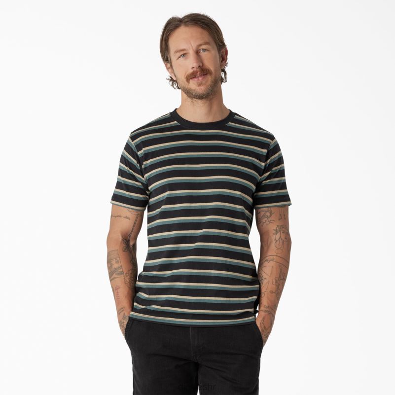 prugasta majica za skateboarding muškarci Dickies crna/lincoln zelena pruga (ksg) 6BPL6771 odjeća