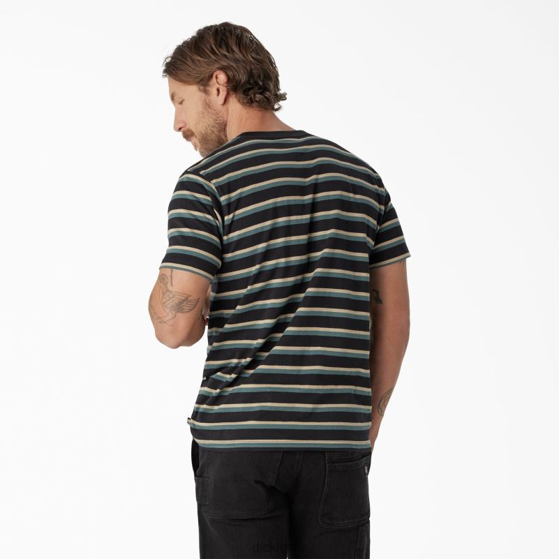 prugasta majica za skateboarding muškarci Dickies crna/lincoln zelena pruga (ksg) 6BPL6771 odjeća