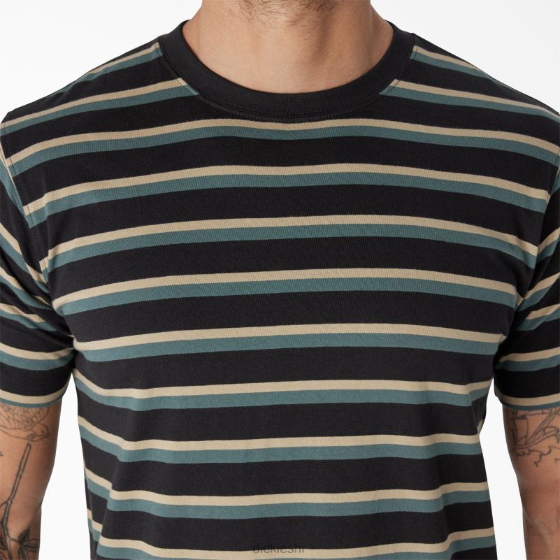 prugasta majica za skateboarding muškarci Dickies crna/lincoln zelena pruga (ksg) 6BPL6771 odjeća
