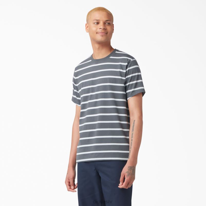 prugasta majica za skateboarding muškarci Dickies ugljena mini pruga (csm) 6BPL6770 odjeća
