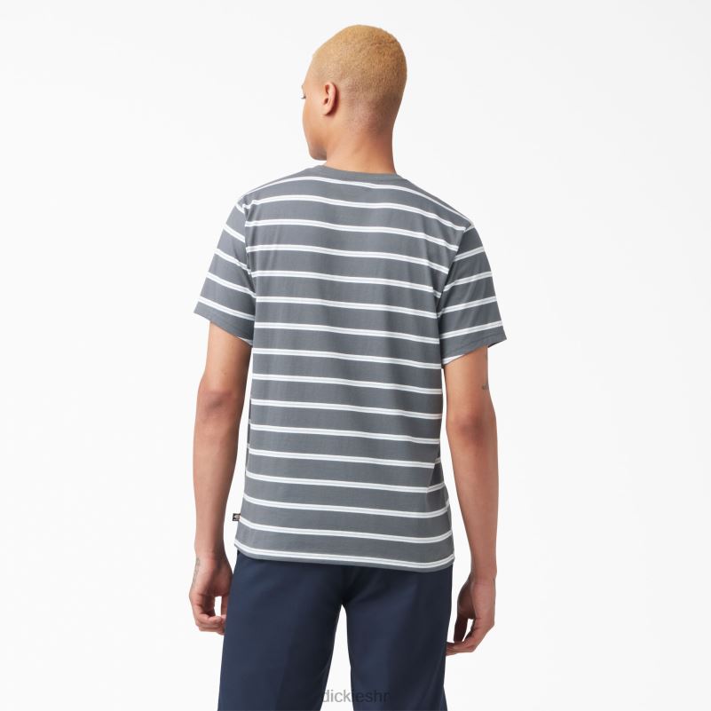 prugasta majica za skateboarding muškarci Dickies ugljena mini pruga (csm) 6BPL6770 odjeća
