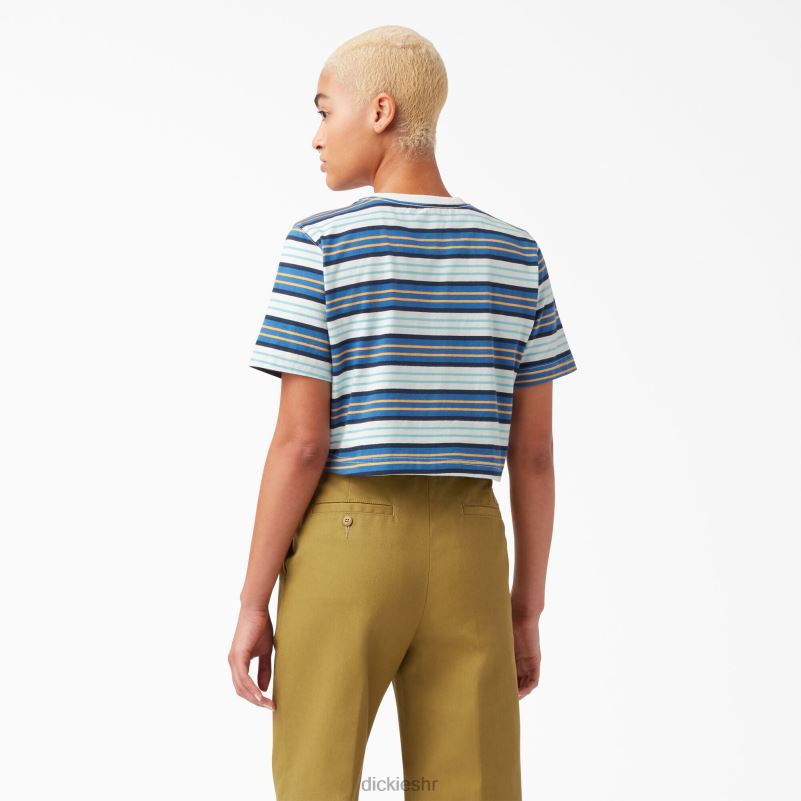 prugasta skraćena majica žene Dickies kobaltna pruga (c2s) 6BPL62012 odjeća