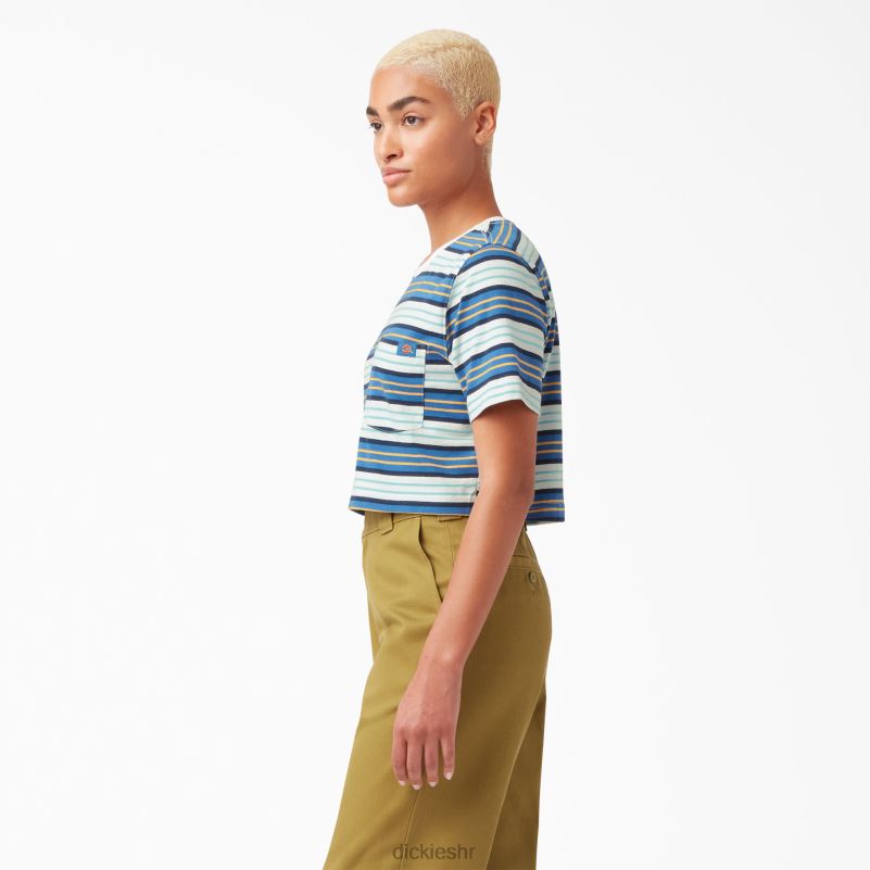prugasta skraćena majica žene Dickies kobaltna pruga (c2s) 6BPL62012 odjeća