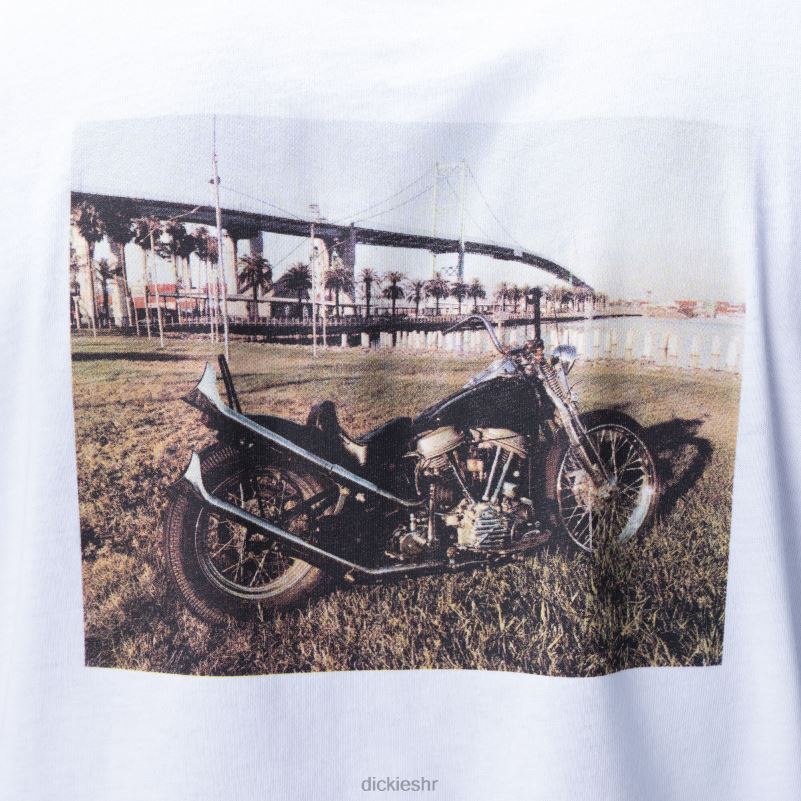 ronnie sandoval foto majica muškarci Dickies bijelo (wh) 6BPL6794 odjeća
