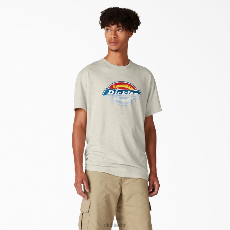 skateboarding distressed og grafička majica muškarci Dickies zobena kaša vrijesak (oa) 6BPL6834 odjeća