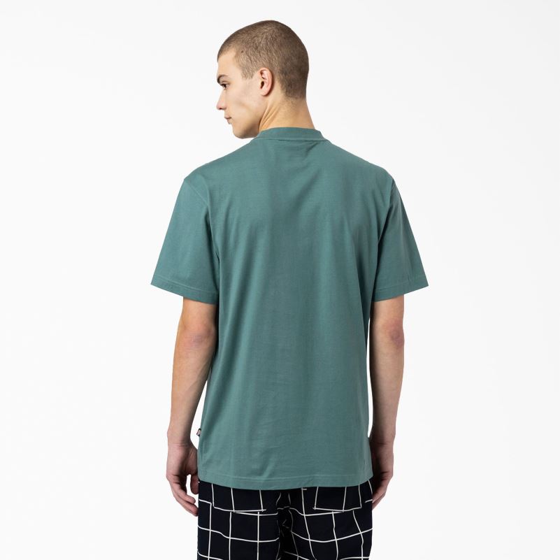 skateboarding mount vista majica muškarci Dickies Lincoln Green (ln) 6BPL6930 odjeća