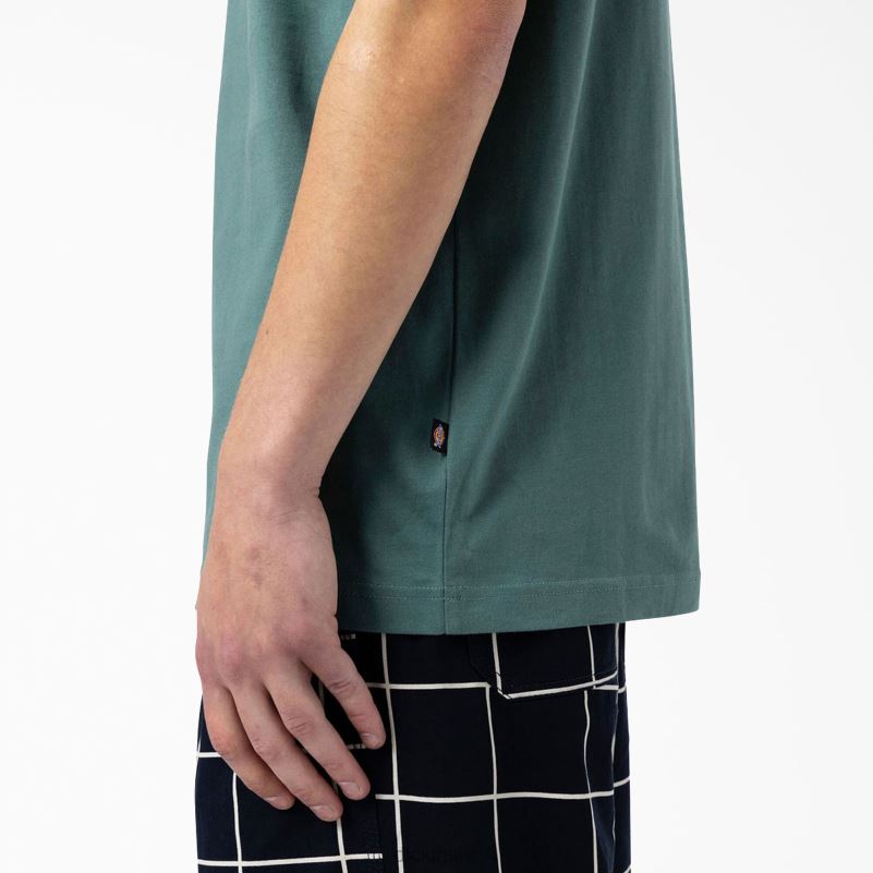 skateboarding mount vista majica muškarci Dickies Lincoln Green (ln) 6BPL6930 odjeća
